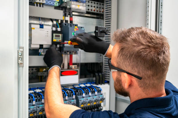 Best Electric Panel Repair  in Spring Hope, NC